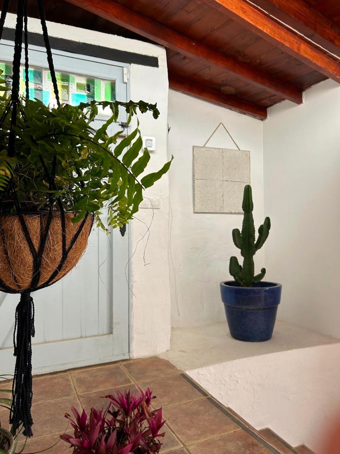فيلا Casa Mialma Lanzarote Conil المظهر الخارجي الصورة