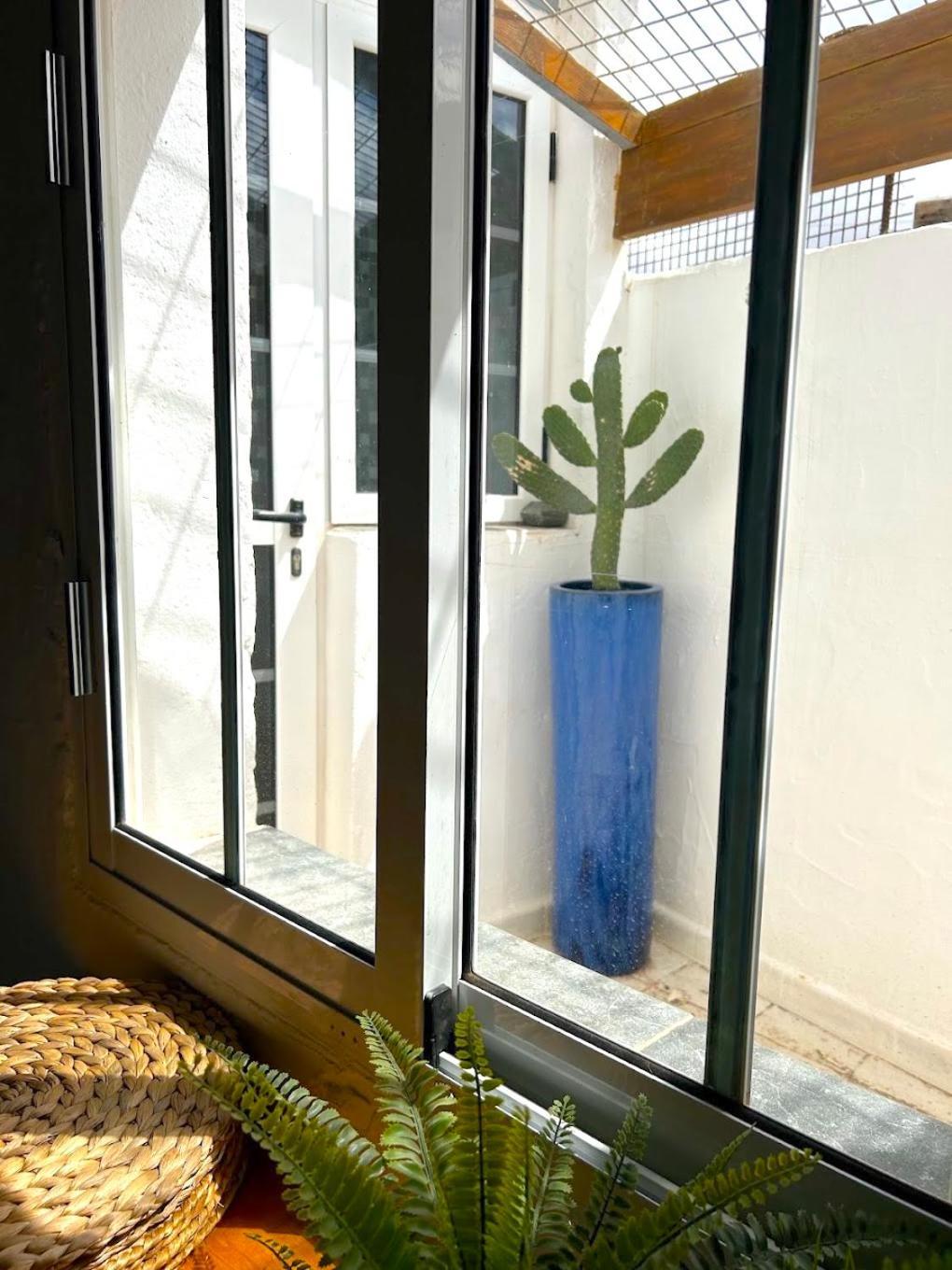 فيلا Casa Mialma Lanzarote Conil المظهر الخارجي الصورة